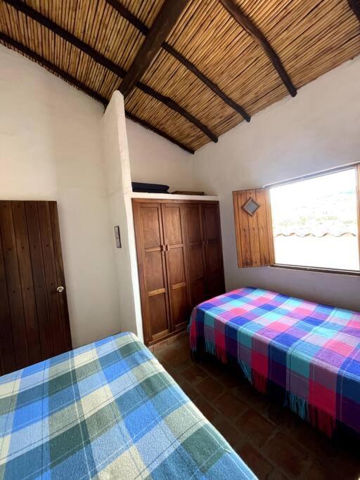 Casa Raiz