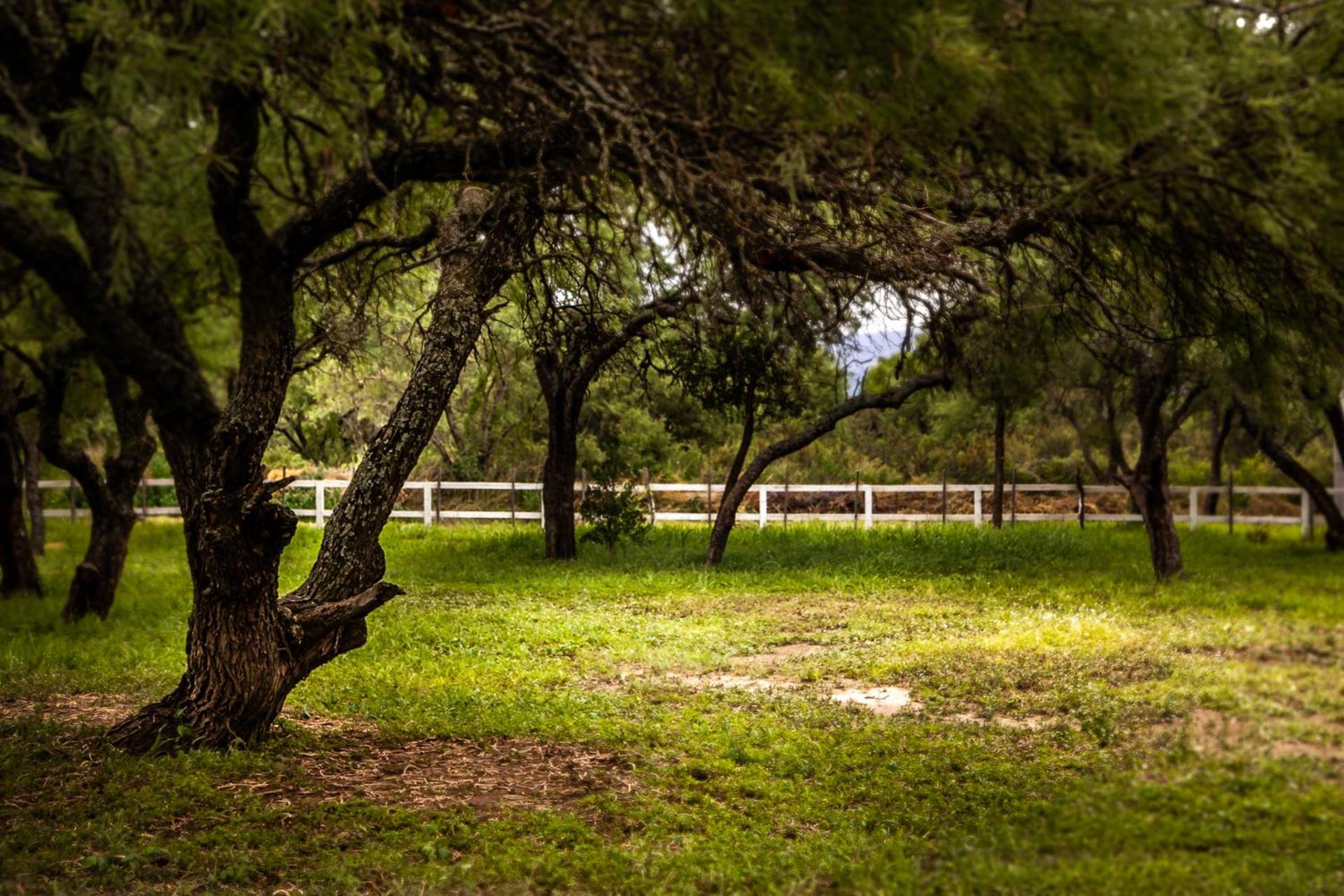 Cabañas El Principio