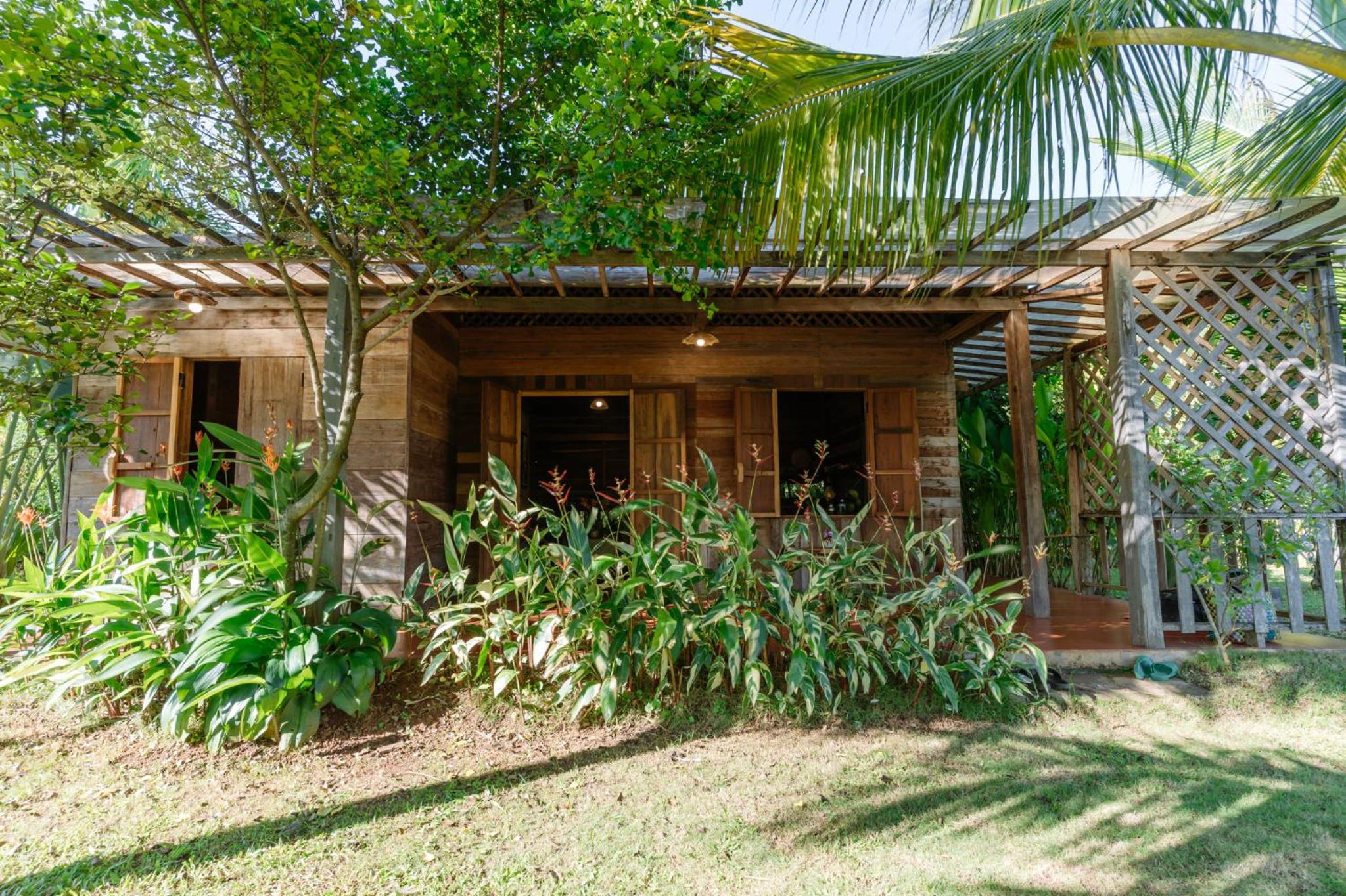 Photo 51