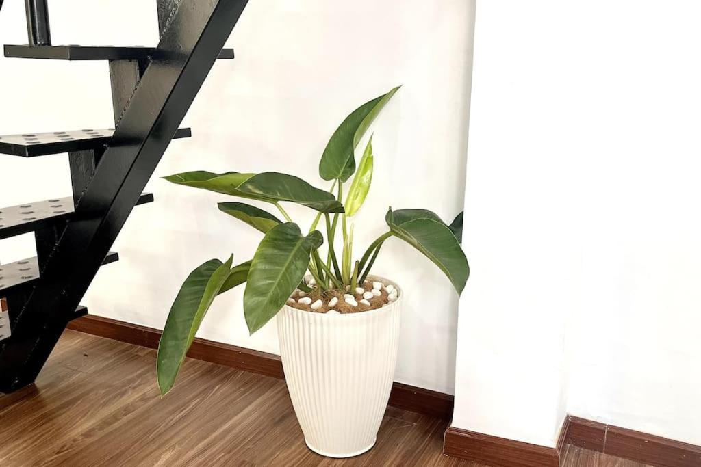 80m2 apt, Bui Vien St, Central District 1, HCMC Saigon