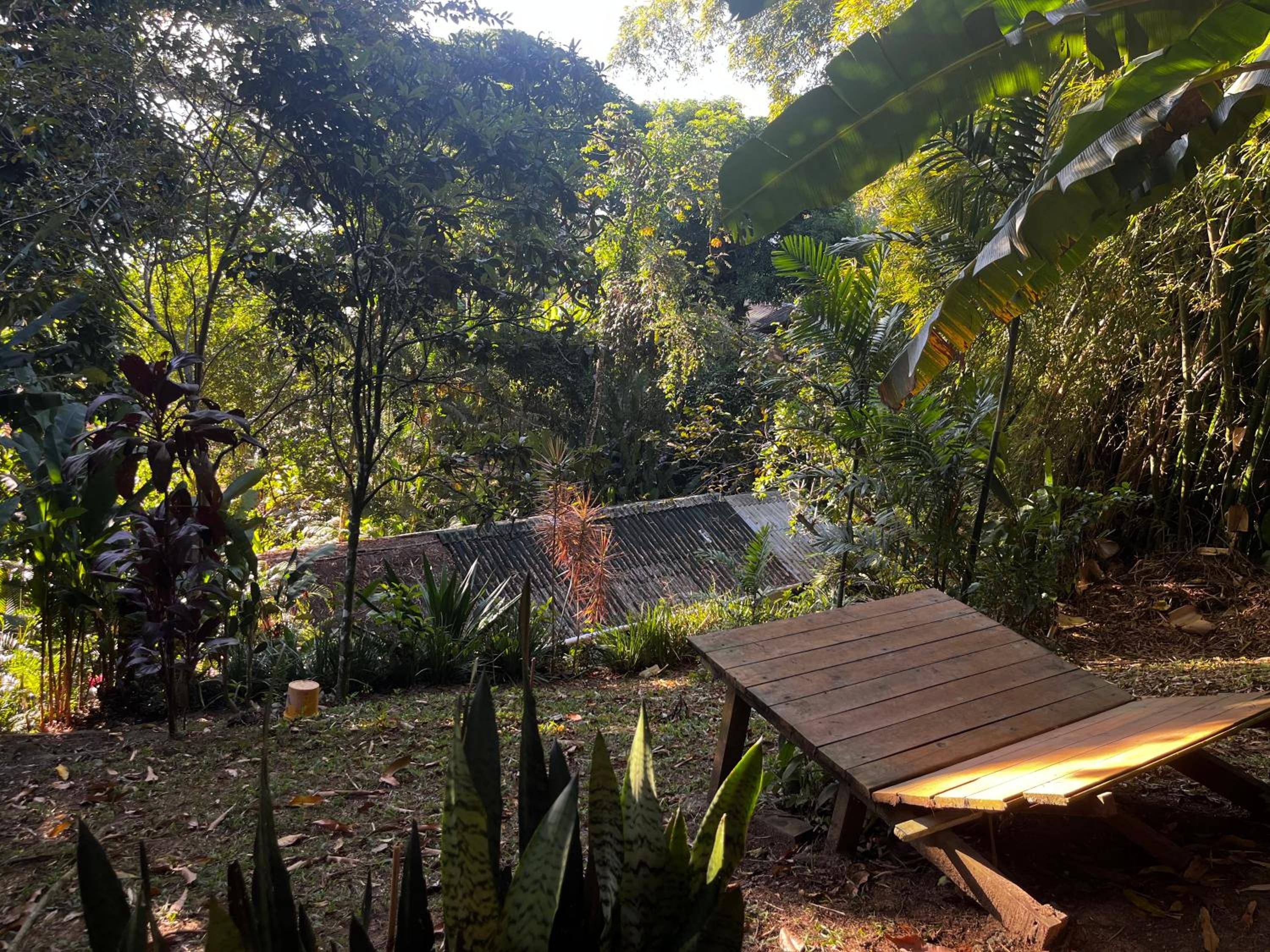 Casa Botanique Jungle Loft Ilha Grande