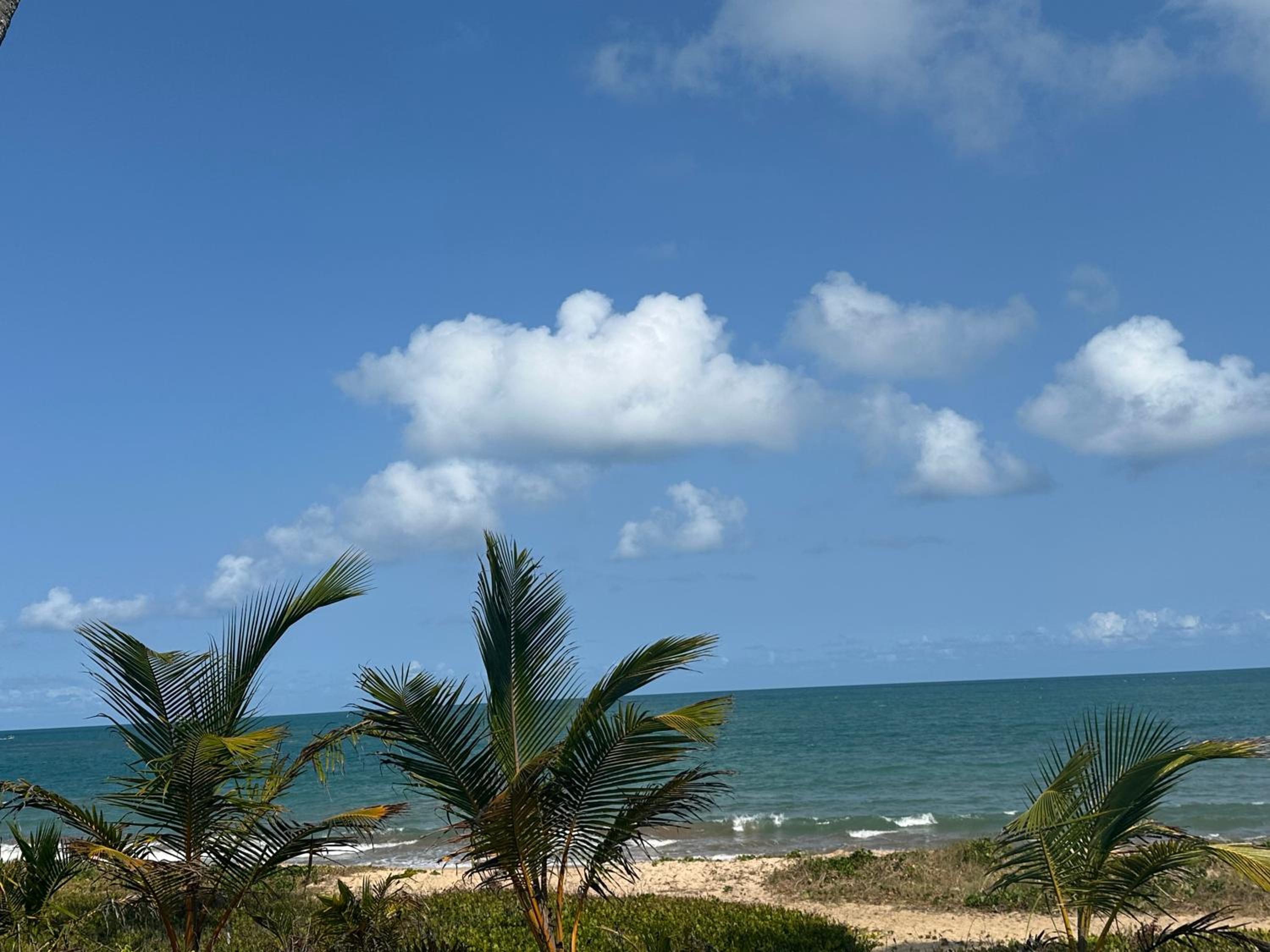 Casa Malibu_Praia do Forte