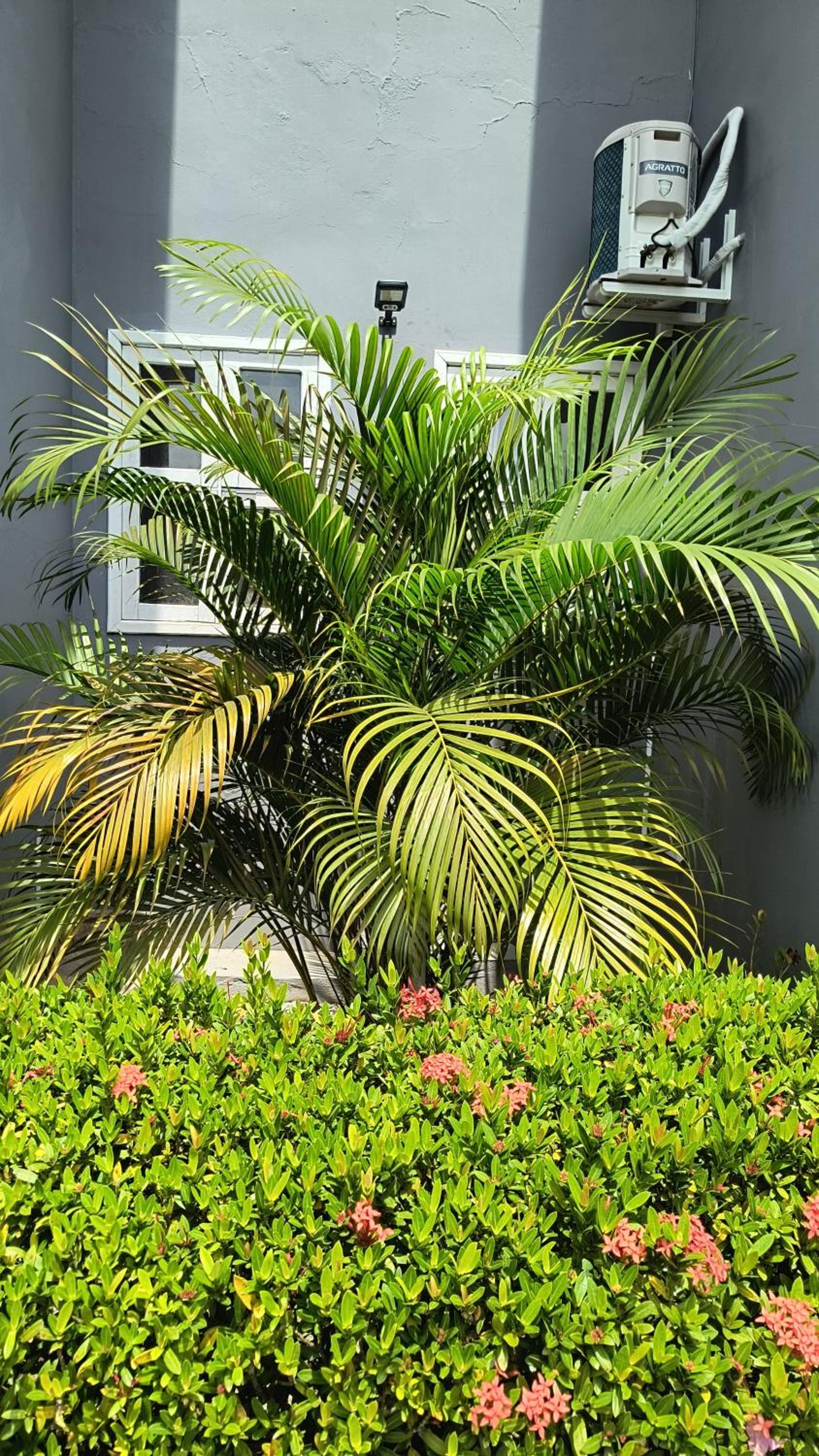 Apartamento 3 quartos Duplex na Praia Taperapuan, 400 metros da praia