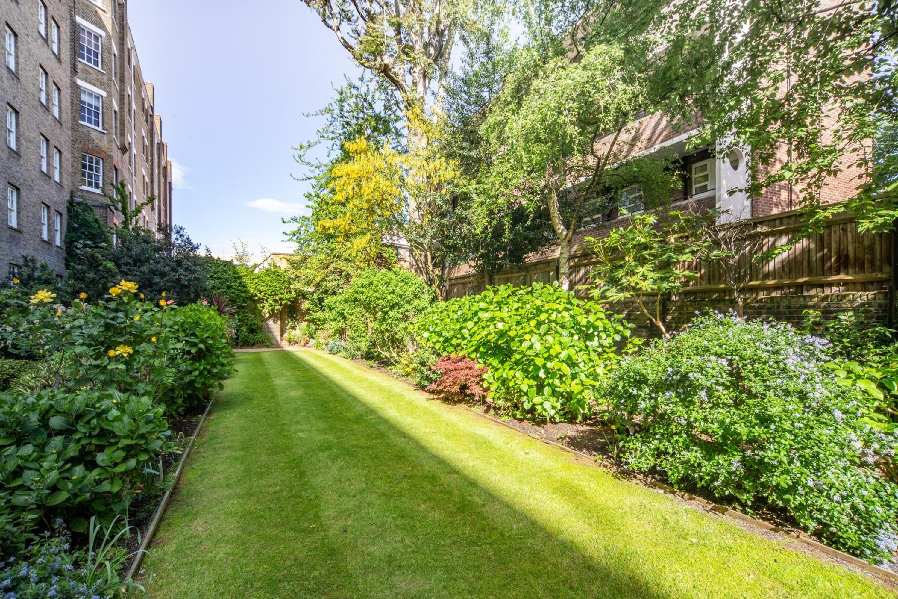 garden