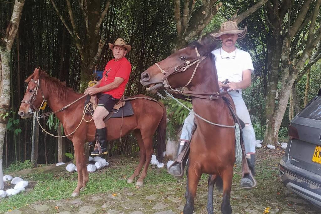 Finca - Granja Ecológica y de Descanso