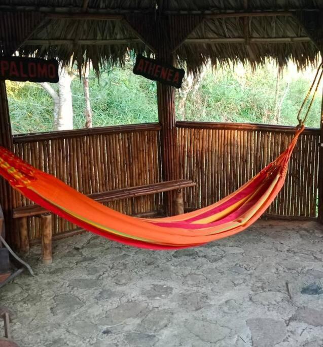Finca - Granja Ecológica y de Descanso
