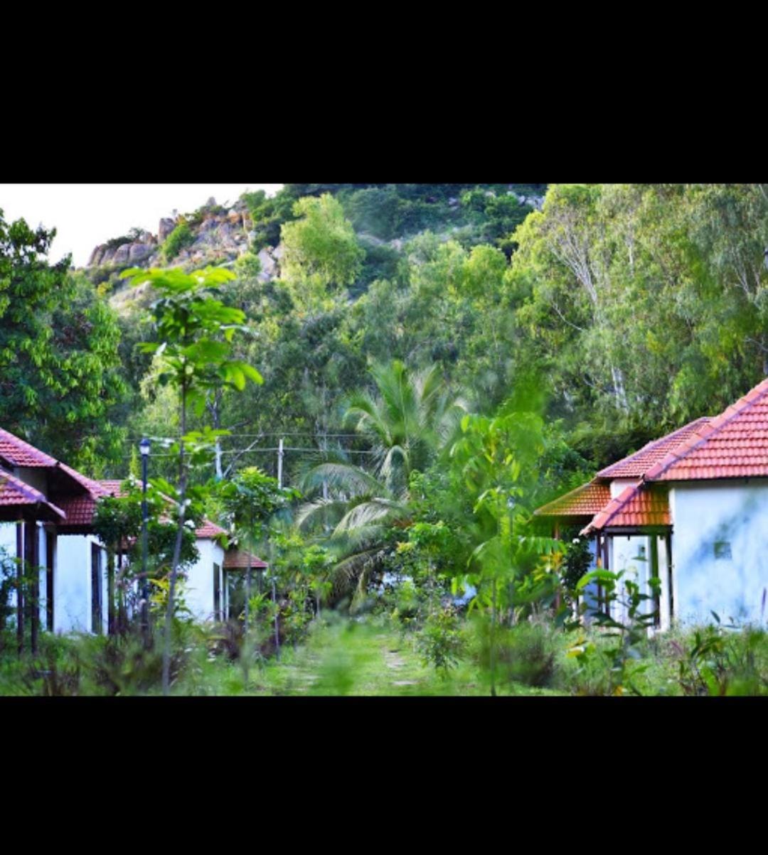 Olive Jungle Resort