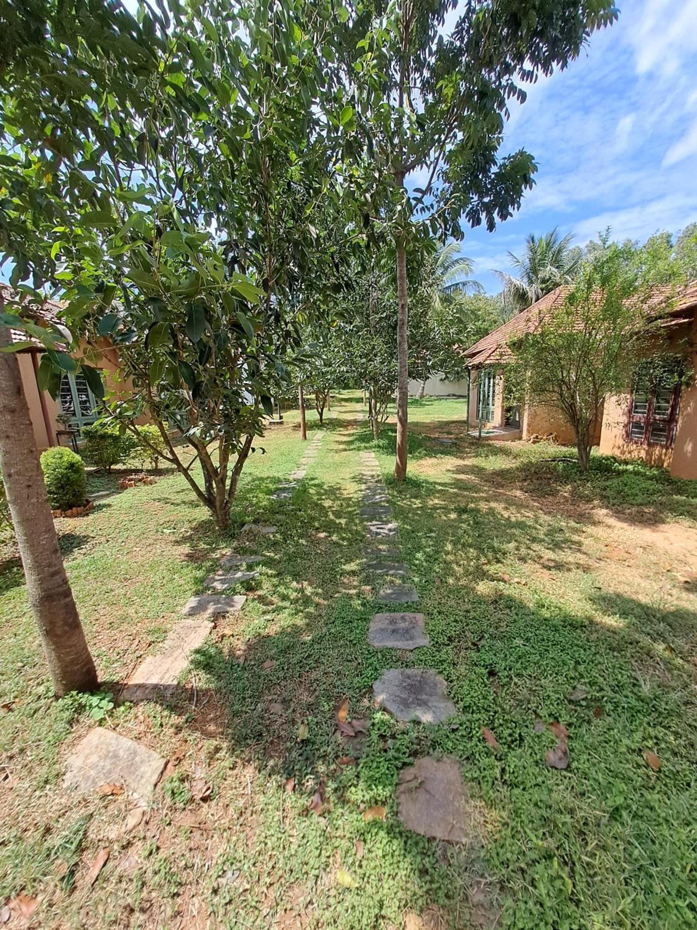 Olive Jungle Resort
