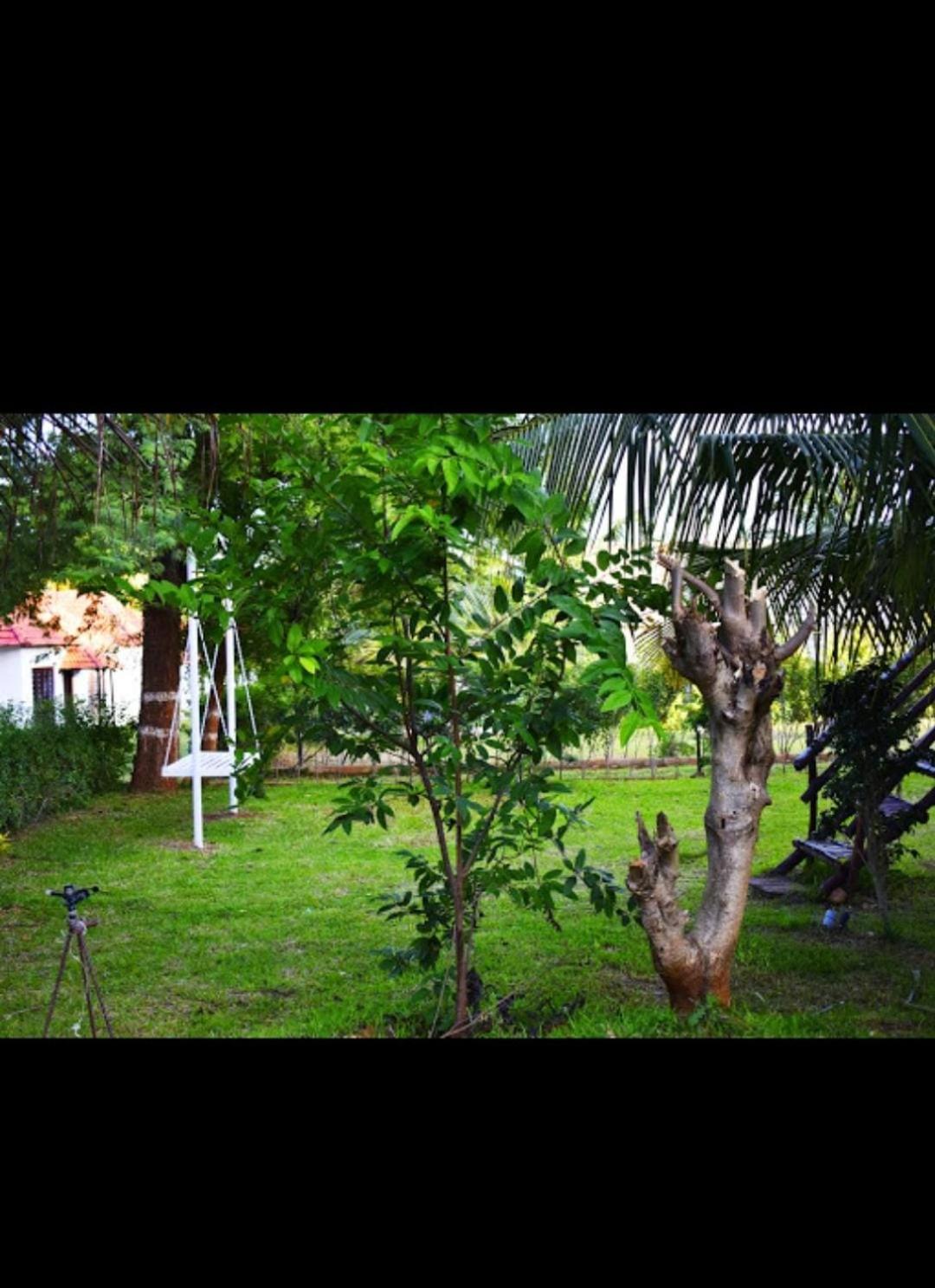 Olive Jungle Resort