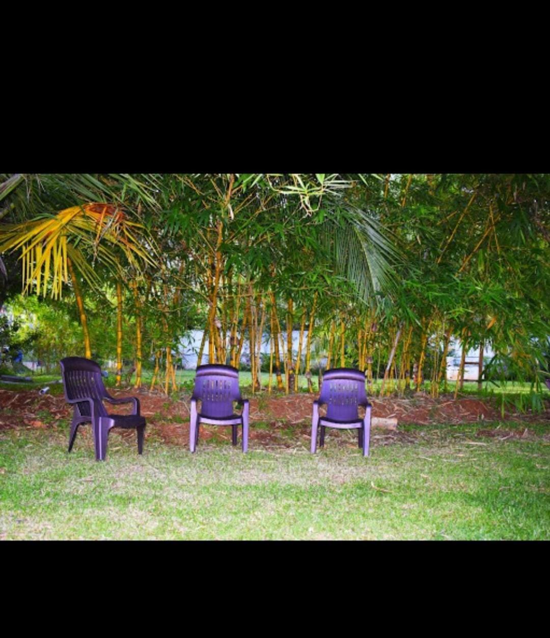 Olive Jungle Resort