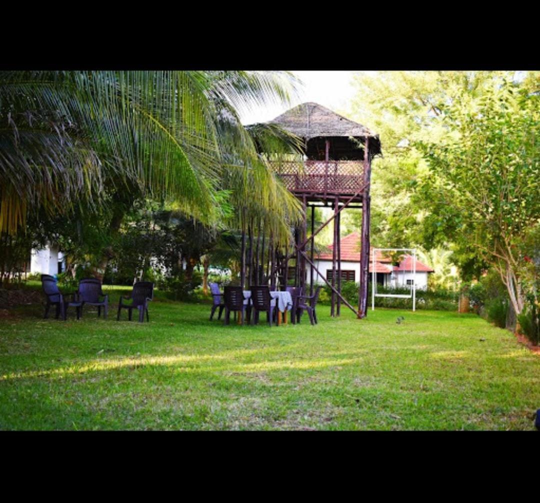 Olive Jungle Resort