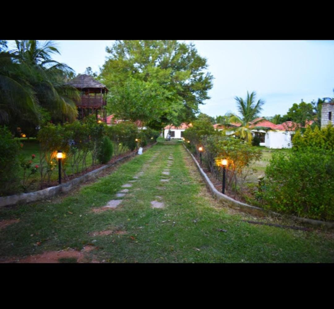 Olive Jungle Resort