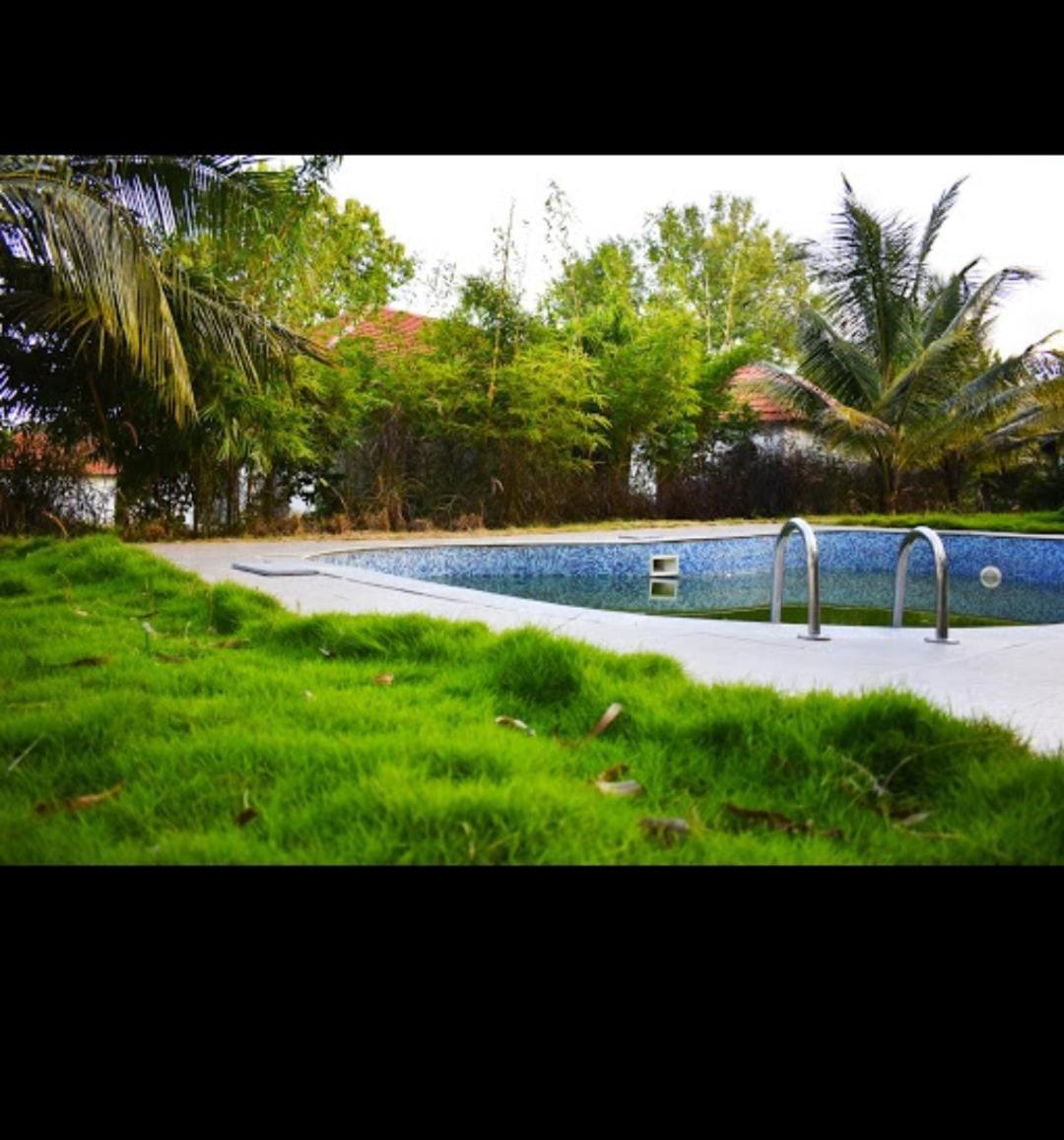 Olive Jungle Resort