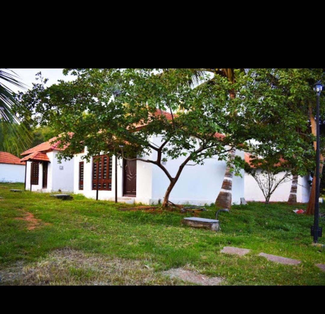 Olive Jungle Resort