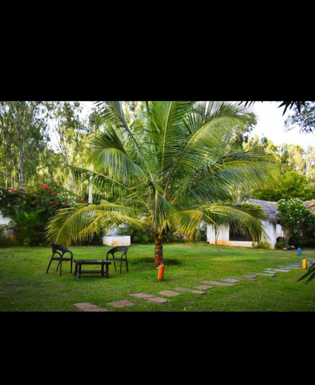 Olive Jungle Resort