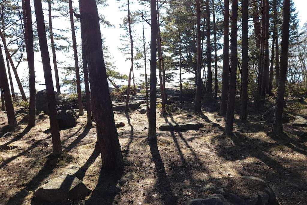 Luonnon rauhassa kodikas loma-asunto