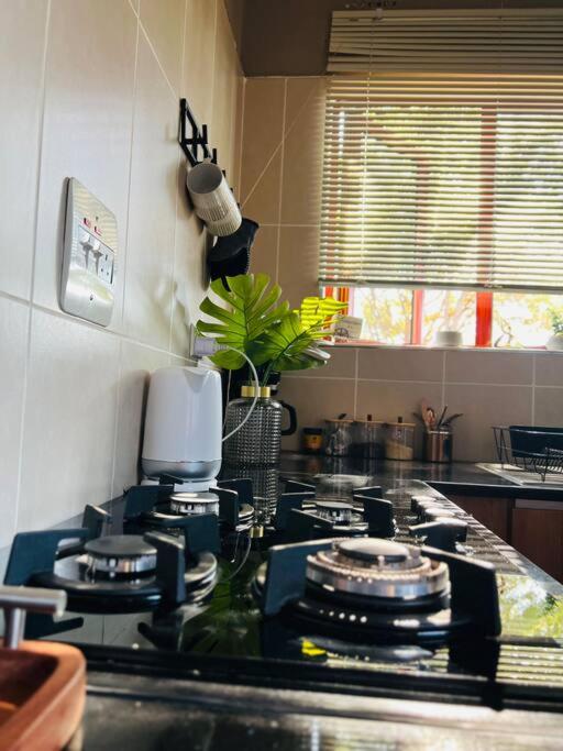 The Ibex Studiocottage