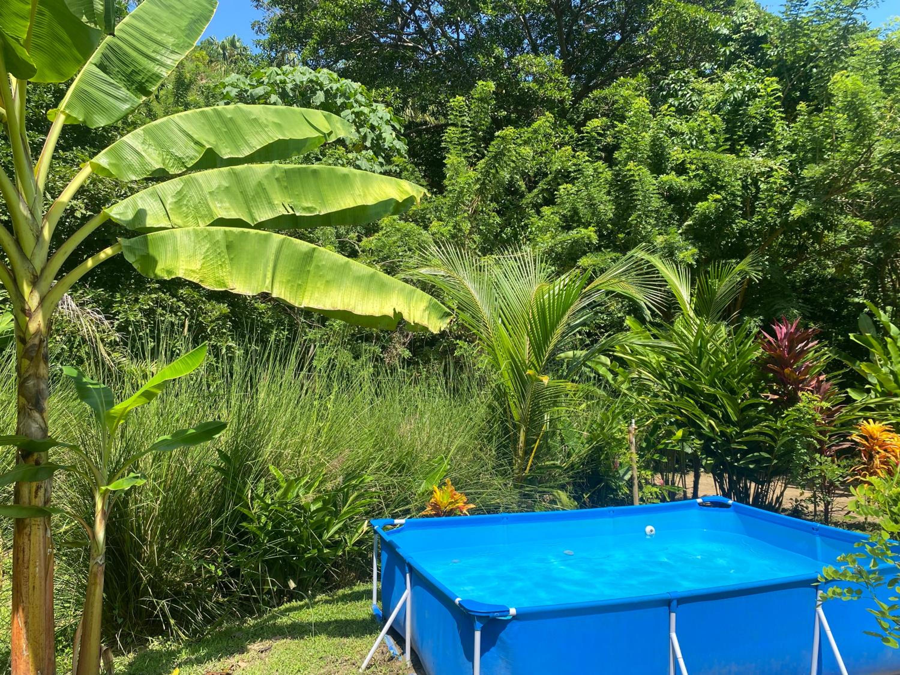 Canto Tayrona Ecolodges