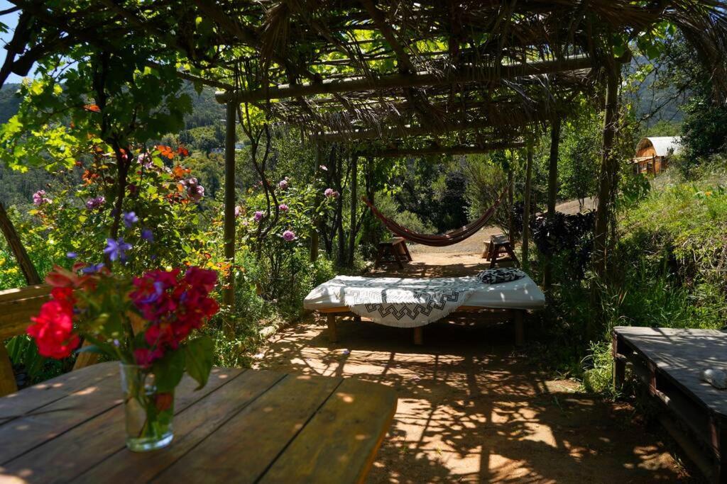 Swiss Eco Lodge La Linda Loma - Olmué