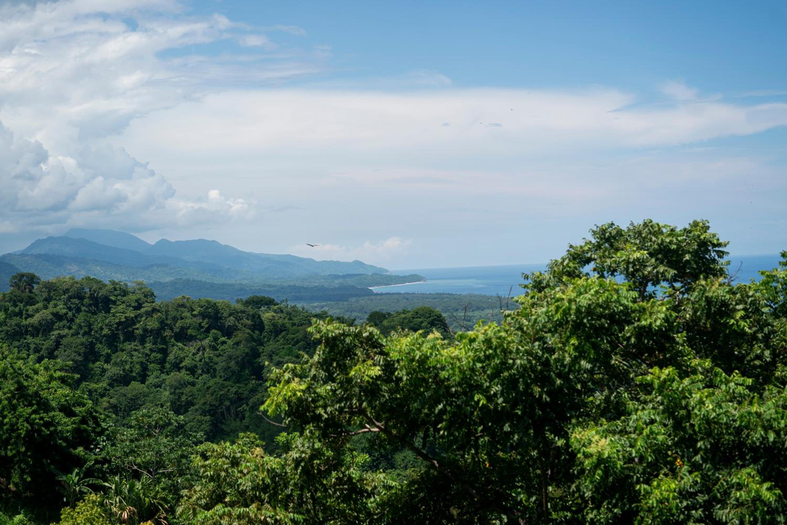 Canto Tayrona Ecolodges