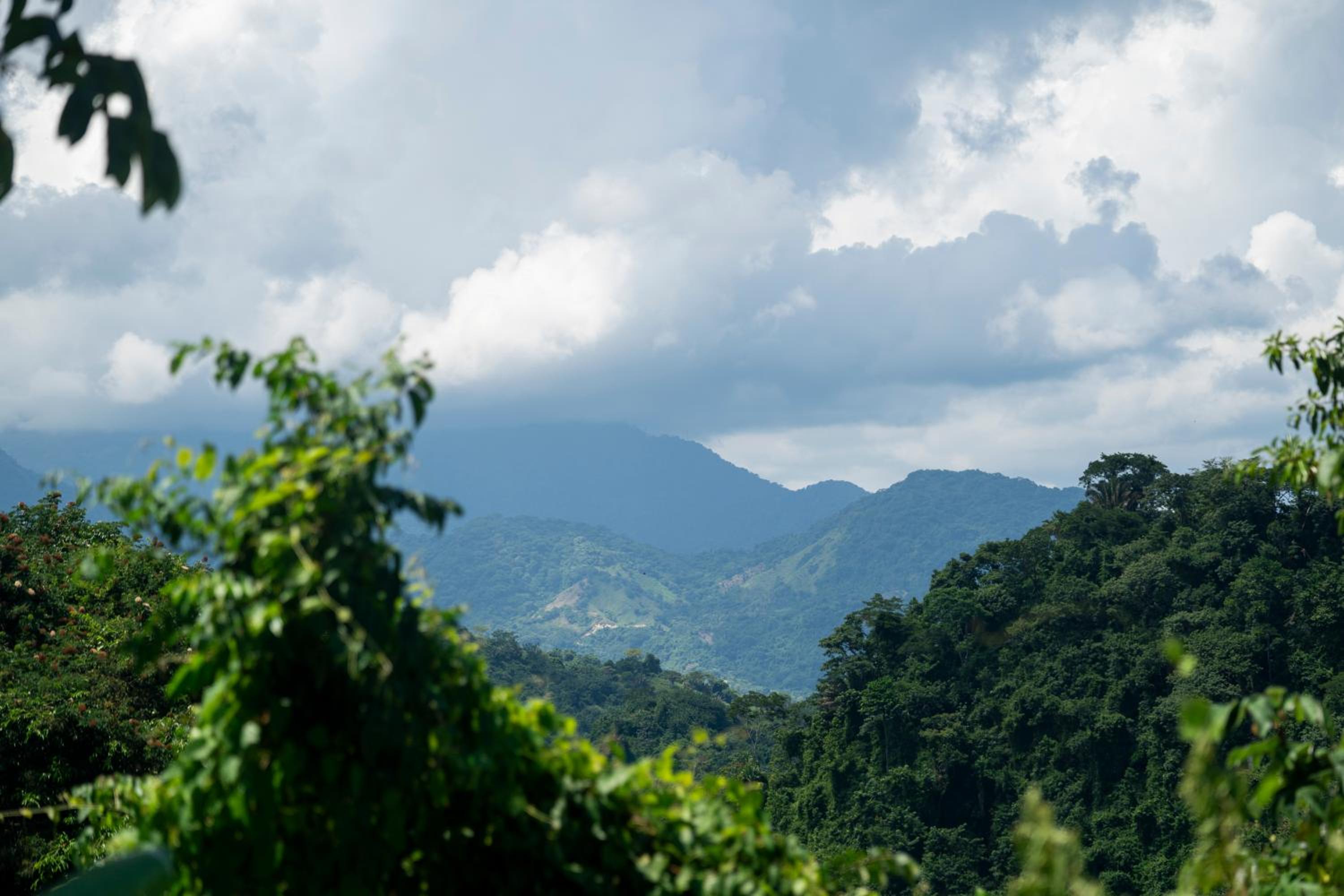 Canto Tayrona Ecolodges