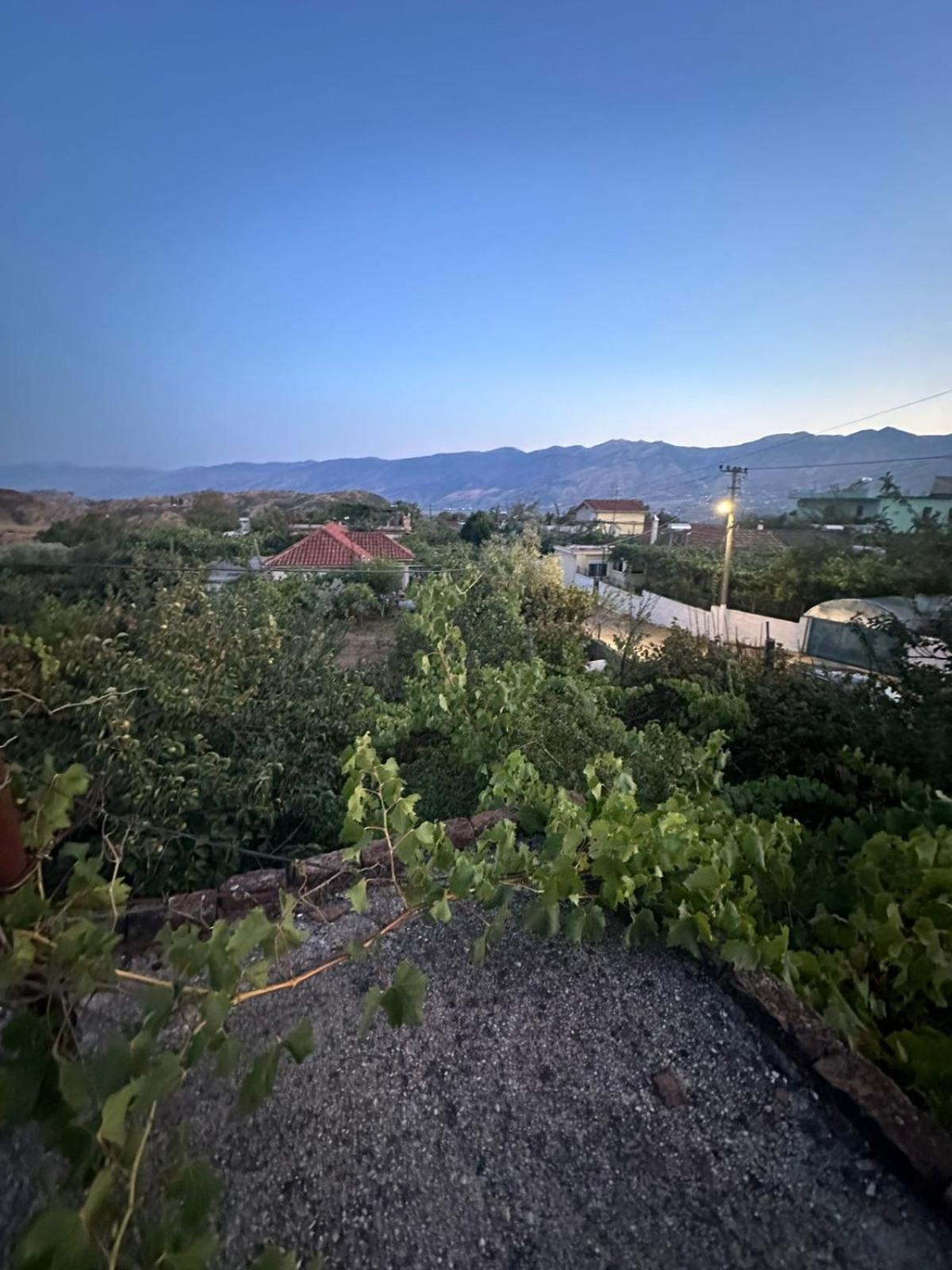 Aldi's house photo 2