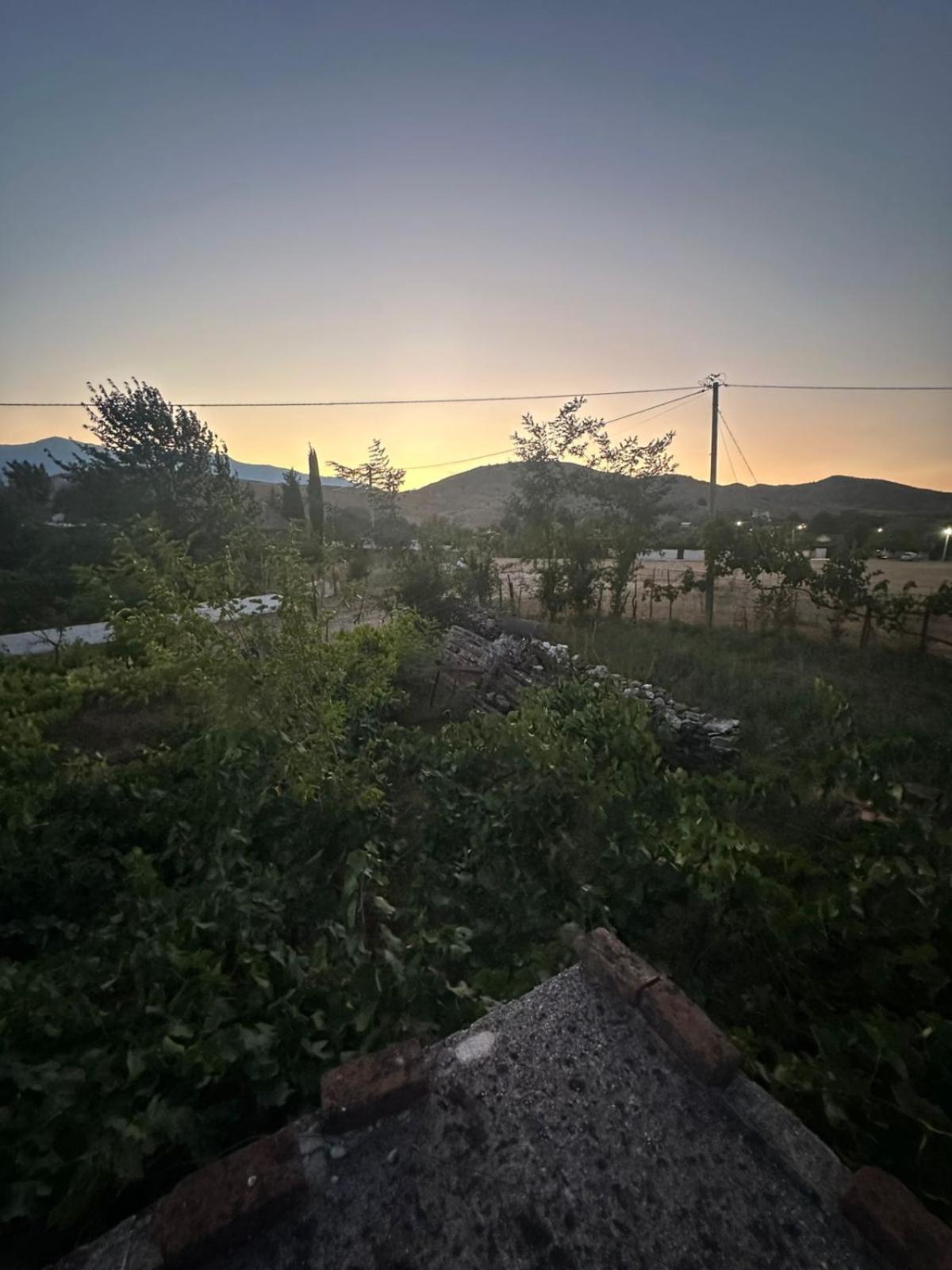 Aldi's house photo 3