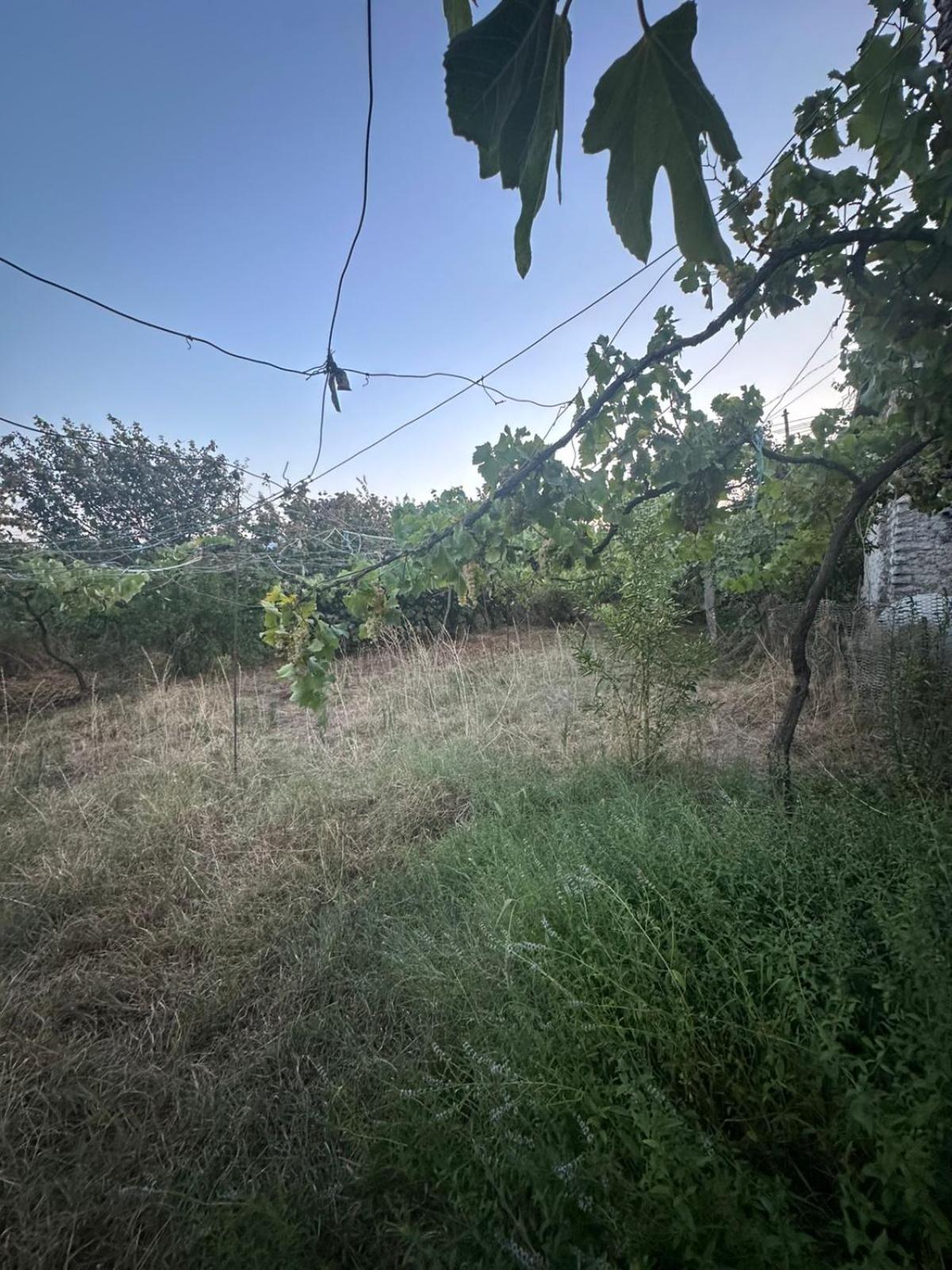 Aldi's house photo 5