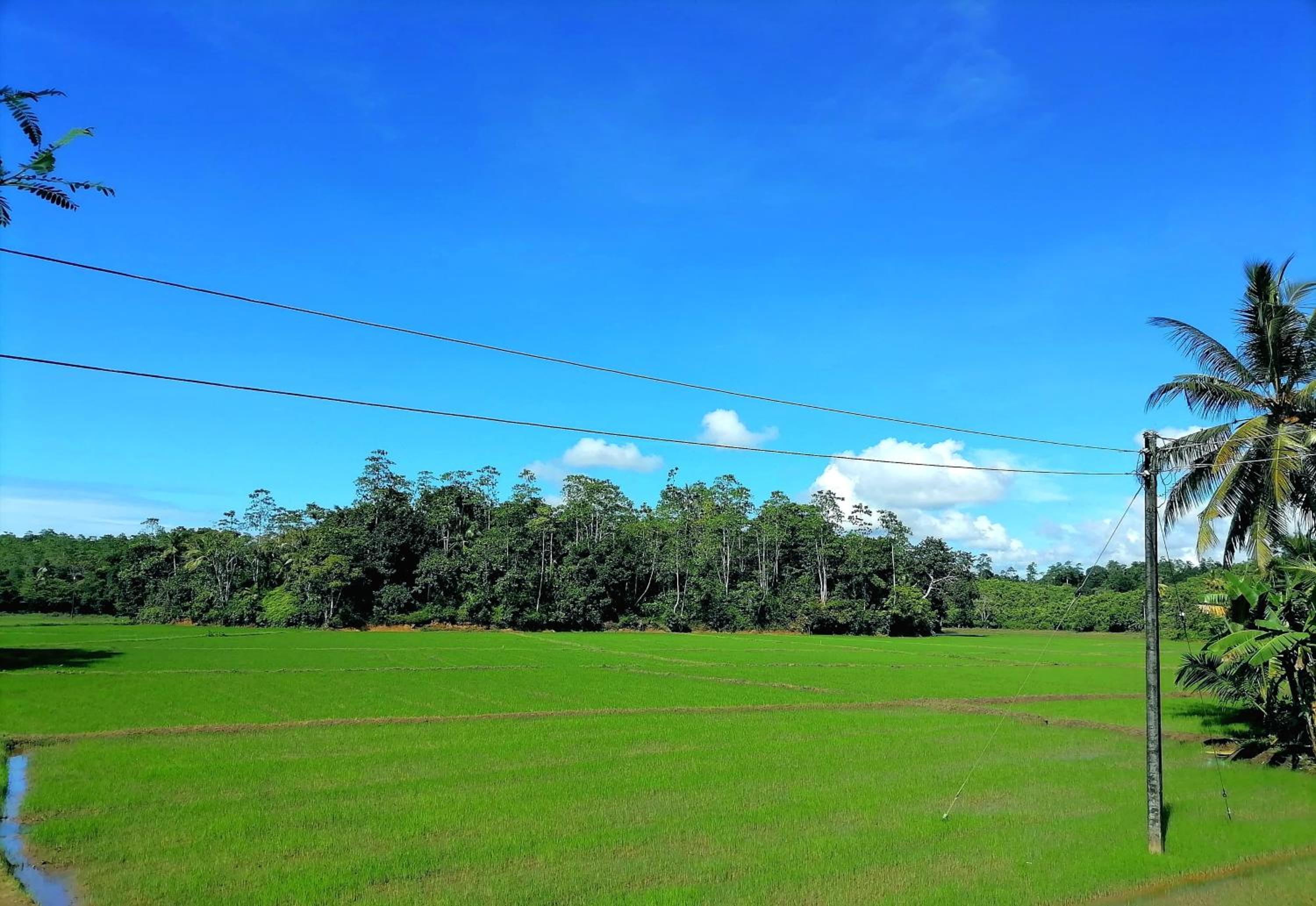 Ranketha Villa
