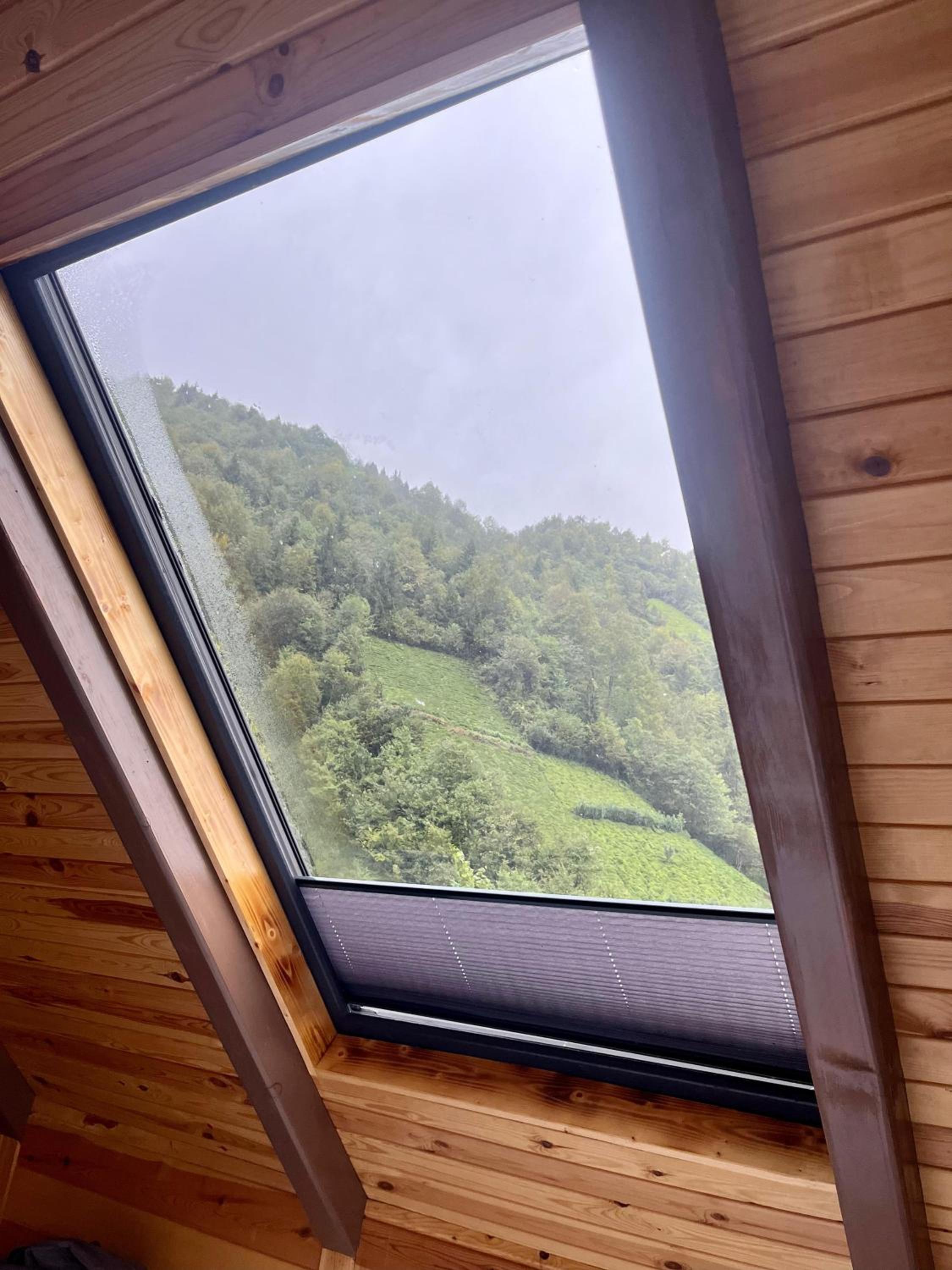 Relax Dağ Evleri,Ayder yaylası view 3