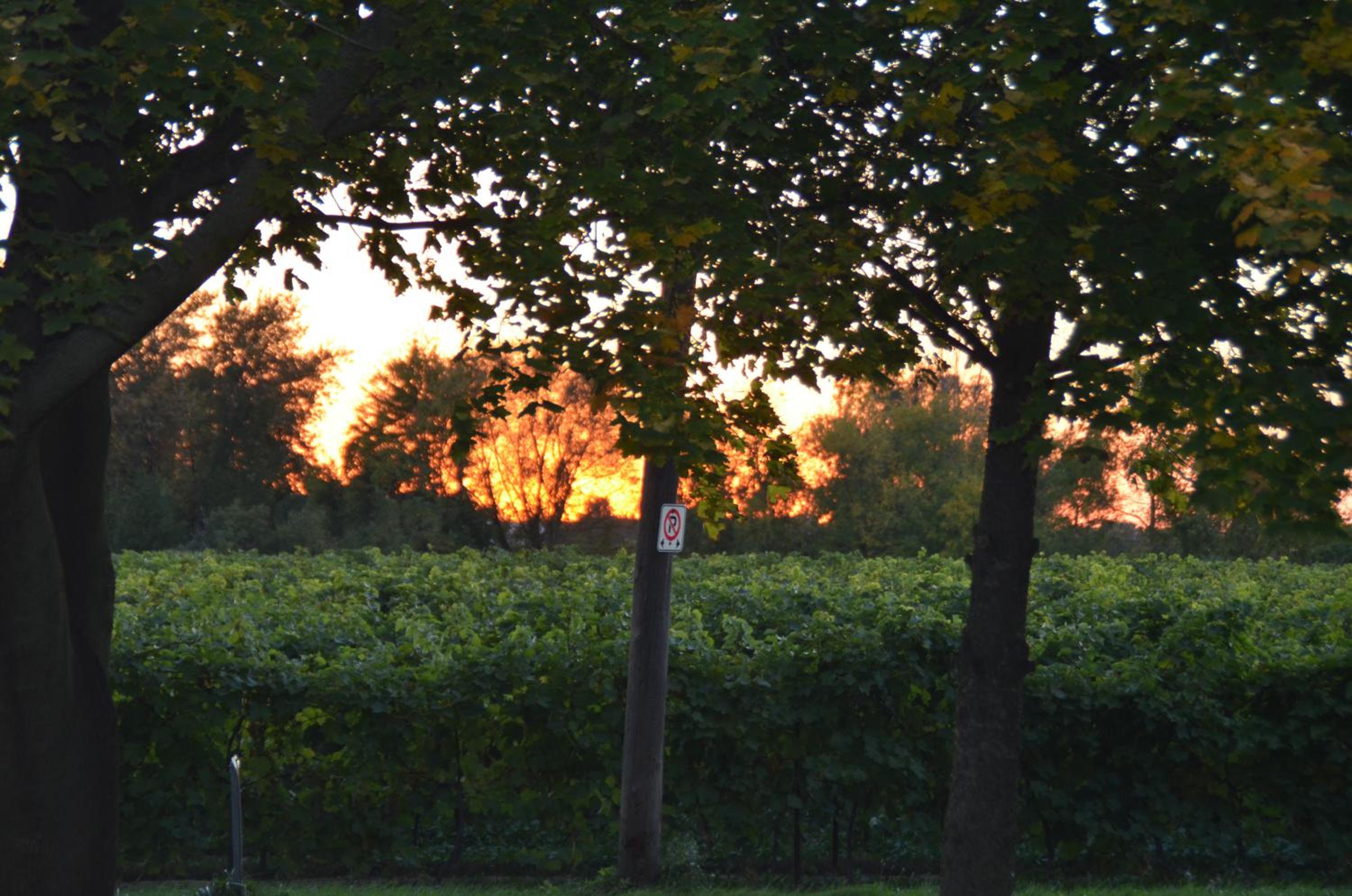 Old Town Country Landing - Property Image 6