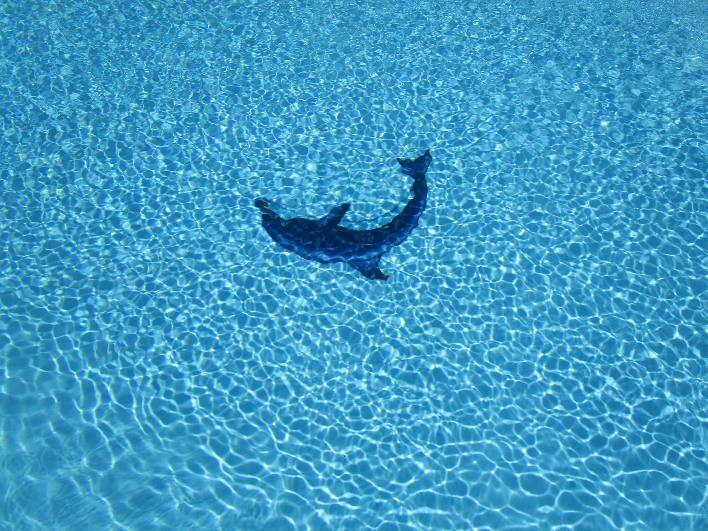 Photo 48