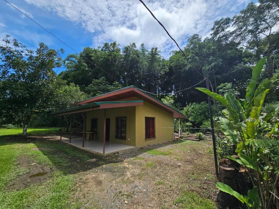 Casa Viento Bambusa