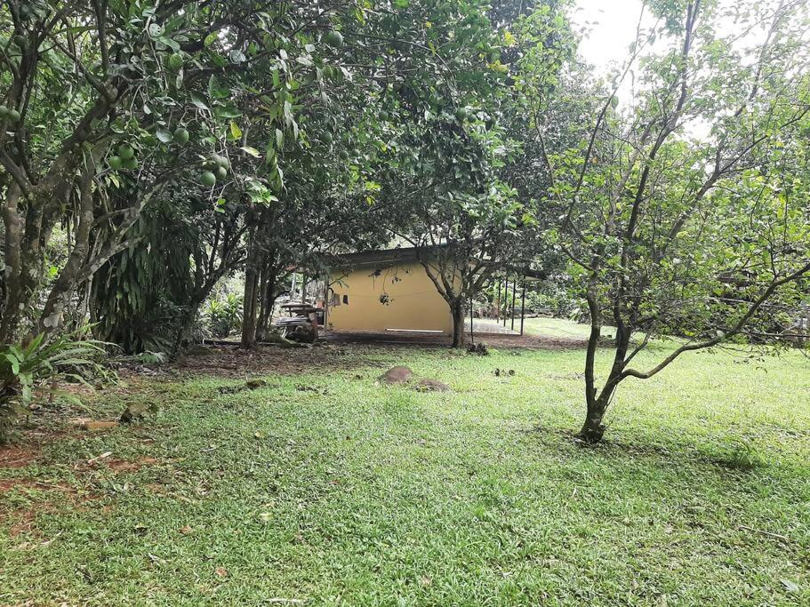 Casa Viento Bambusa