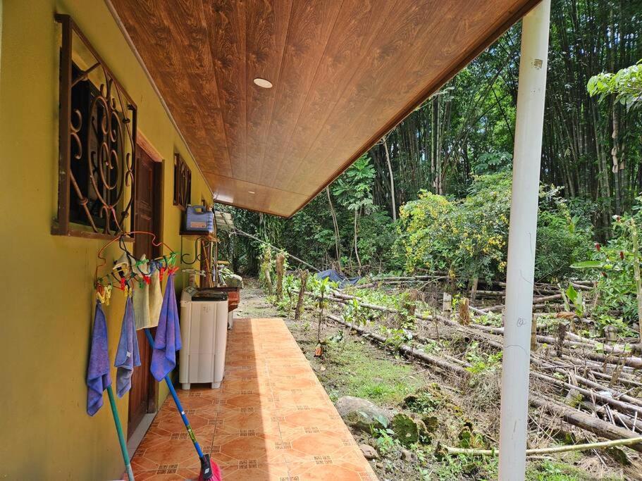 Casa Viento Bambusa