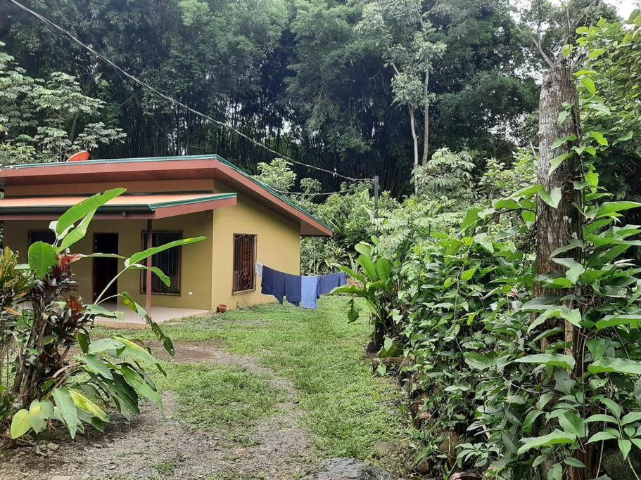 Casa Viento Bambusa