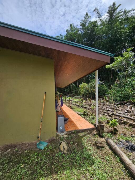 Casa Viento Bambusa