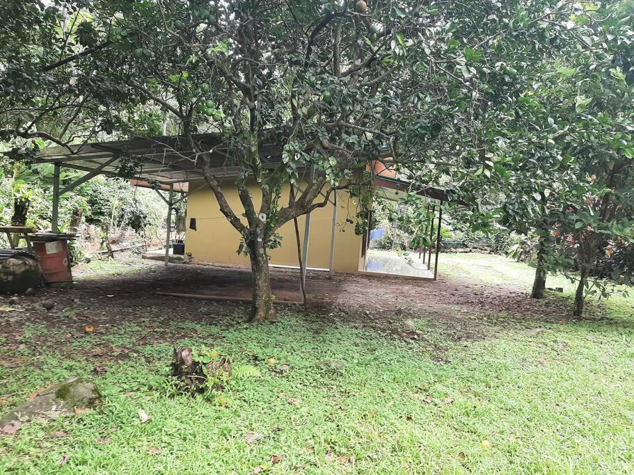 Casa Viento Bambusa