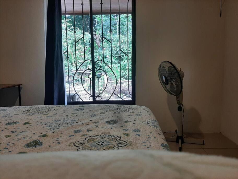 Casa Viento Bambusa