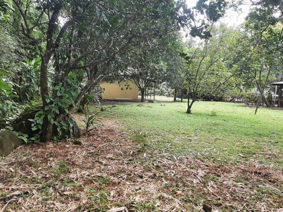 Casa Viento Bambusa