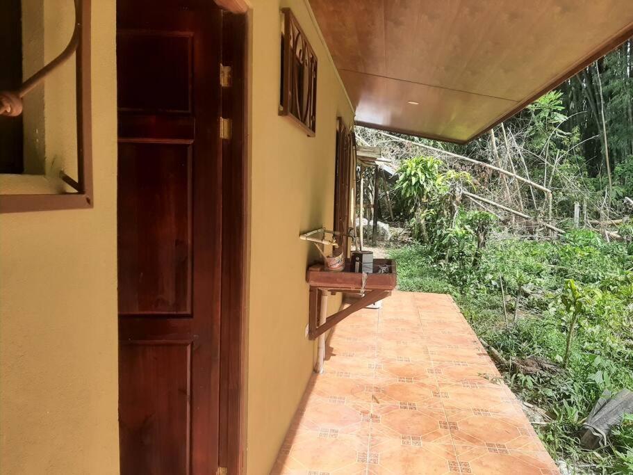 Casa Viento Bambusa