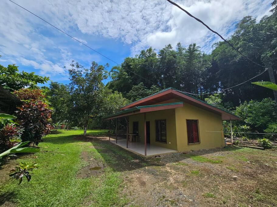 Casa Viento Bambusa