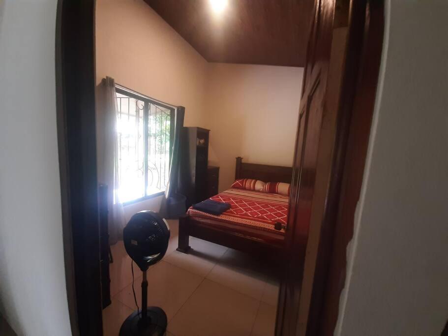 Casa Viento Bambusa