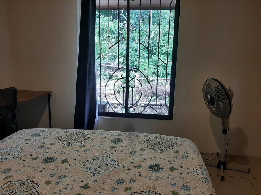Casa Viento Bambusa
