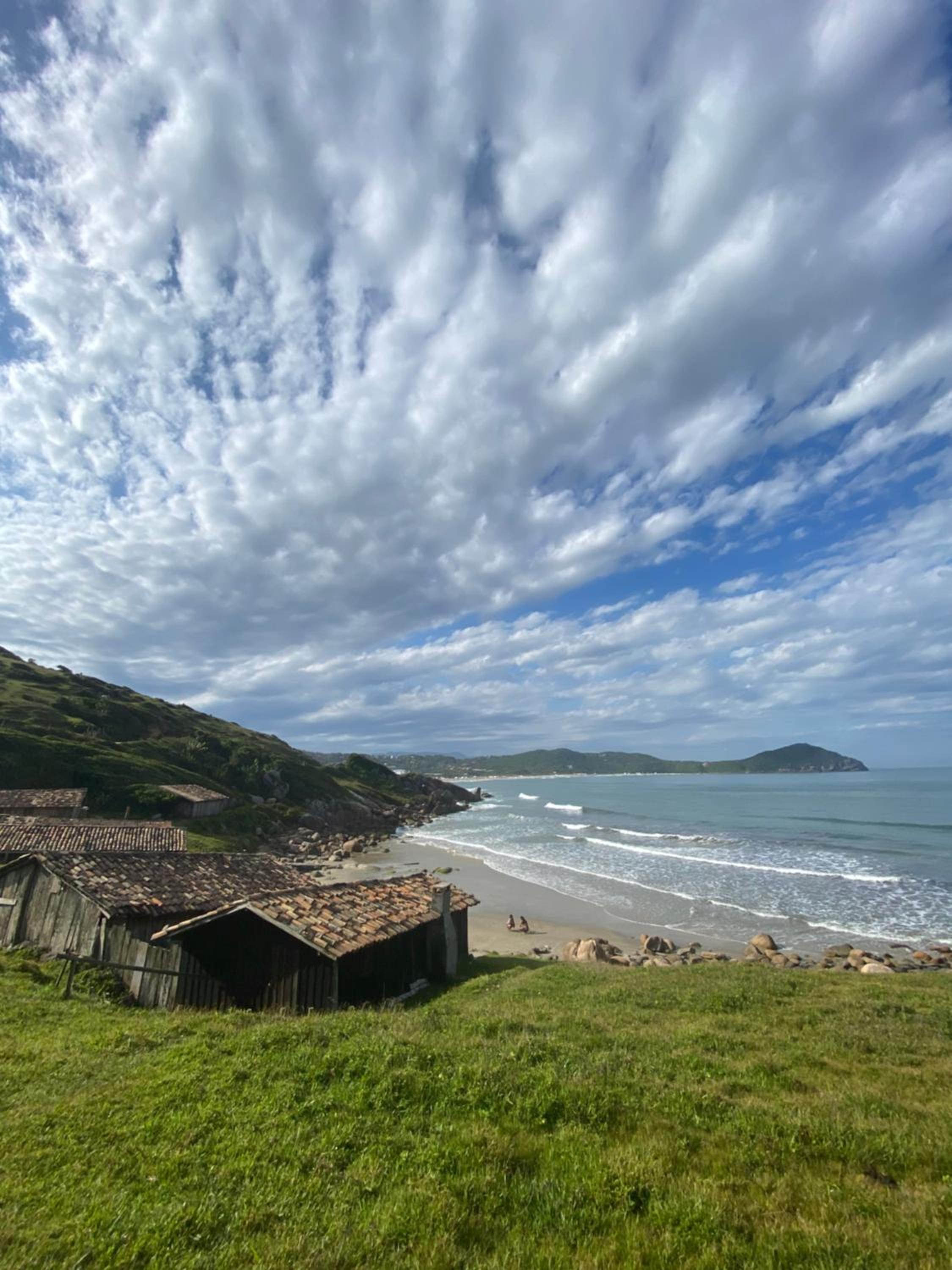 Casa na Floresta