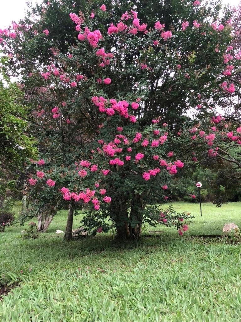 Paraíso nas Montanhas