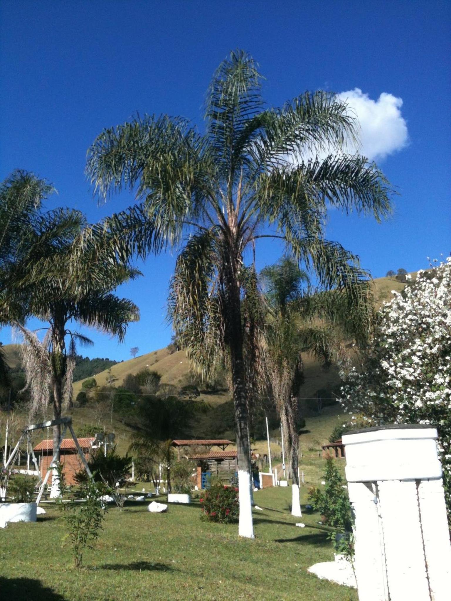 Paraíso nas Montanhas
