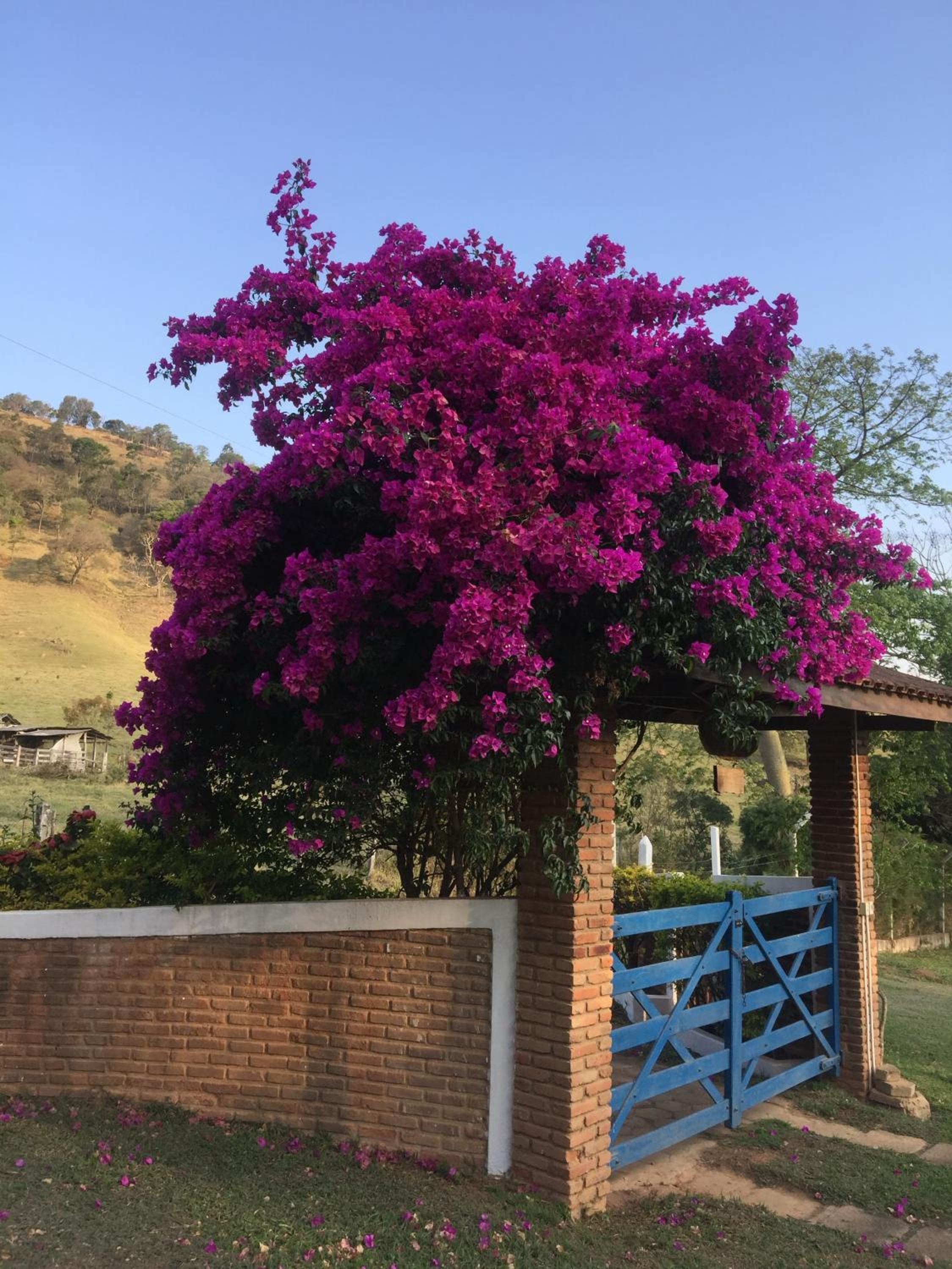Paraíso nas Montanhas