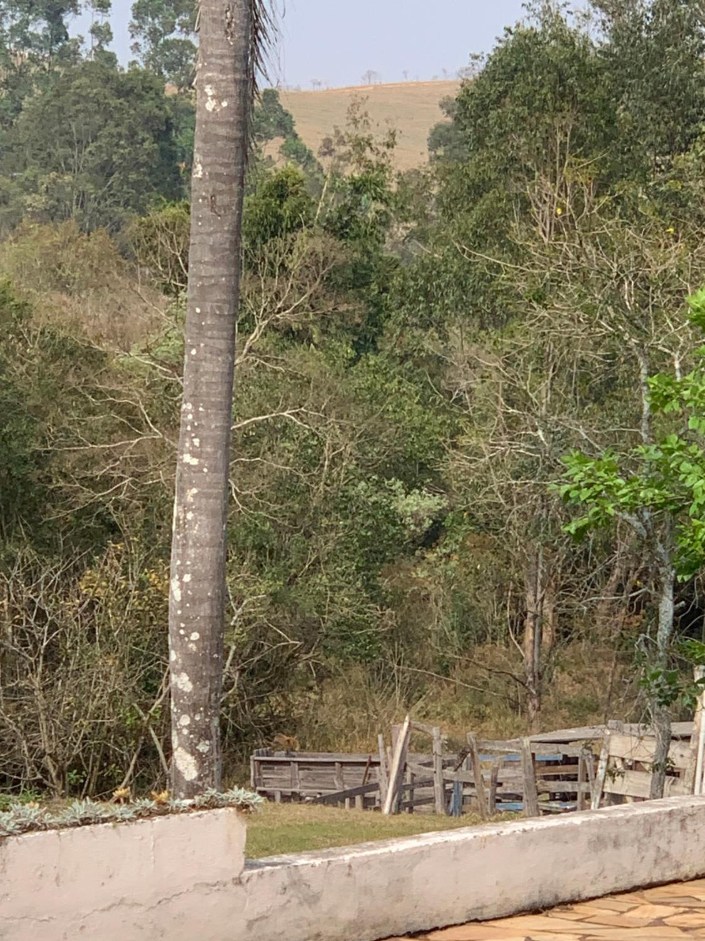 Paraíso nas Montanhas