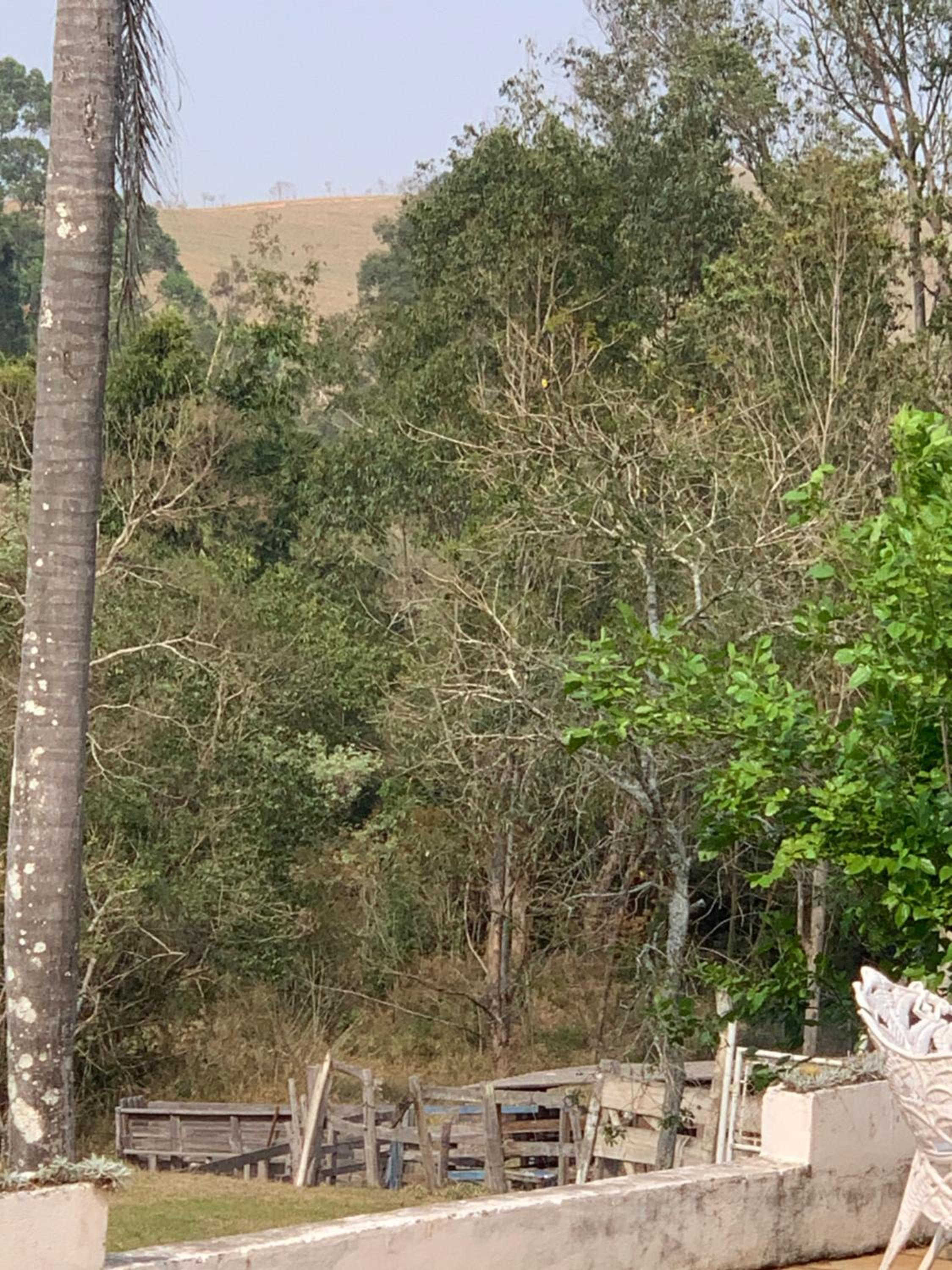 Paraíso nas Montanhas
